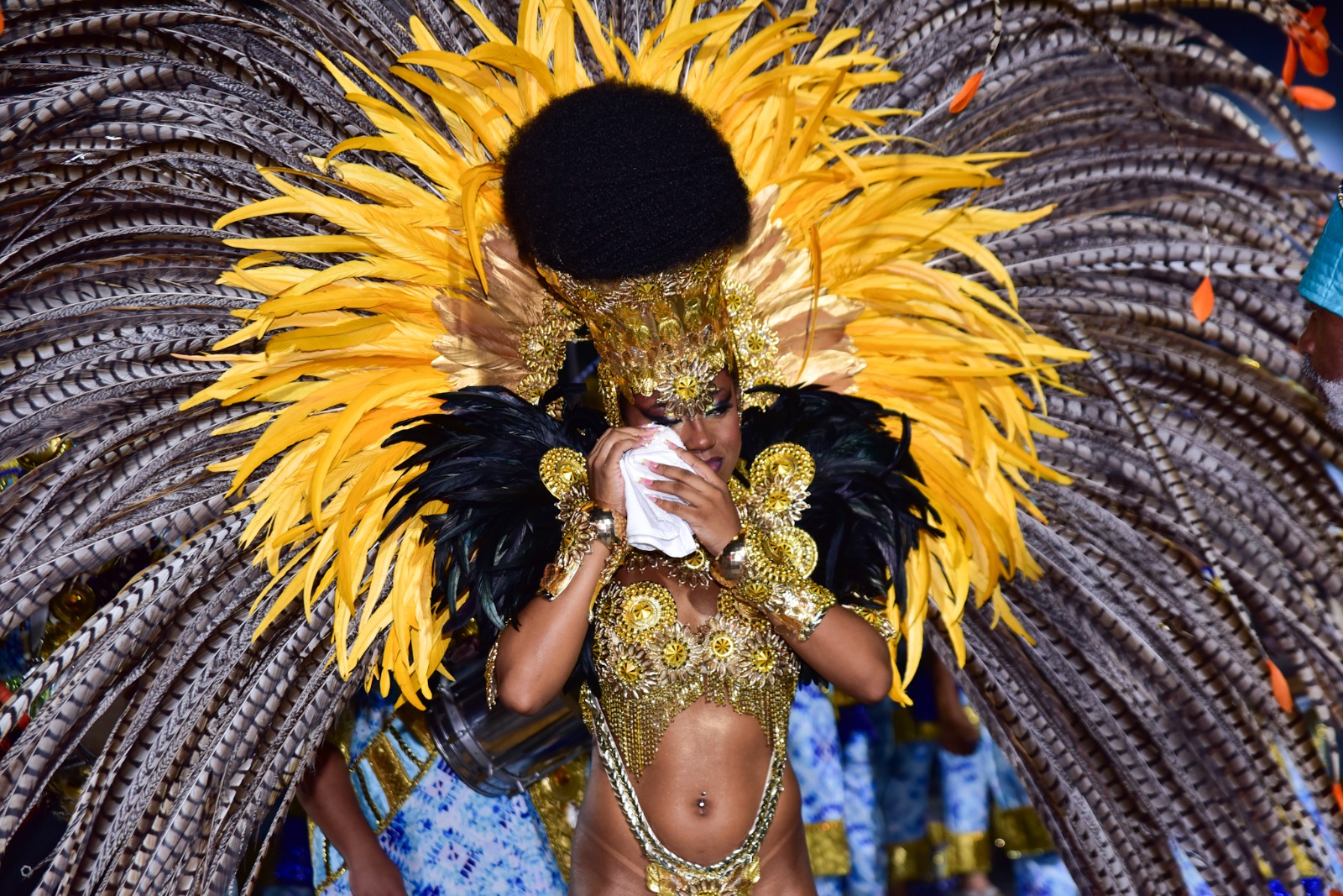 Império de Casa Verde (Desfile 2026)