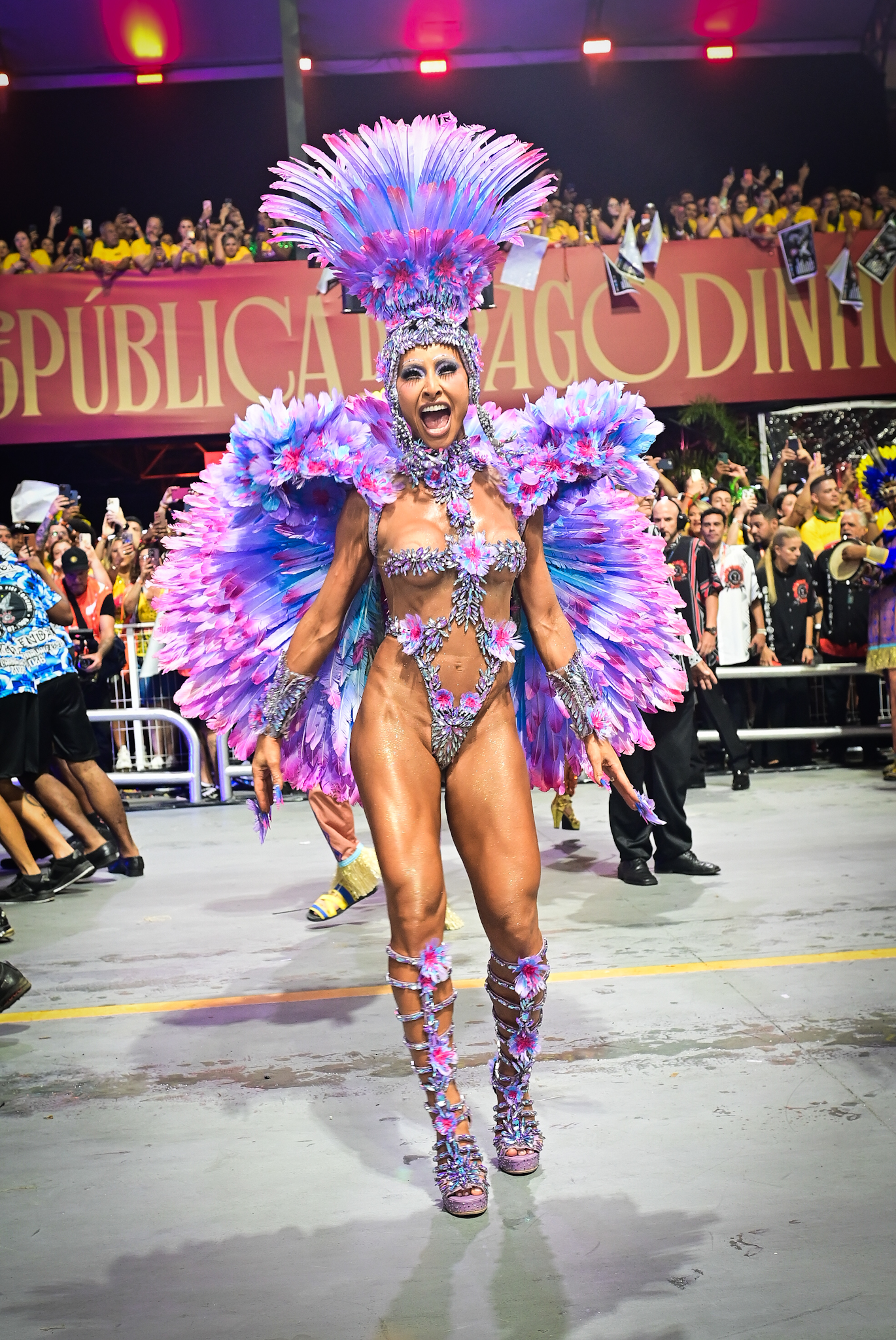 Gaviões da Fiel (Desfile26)